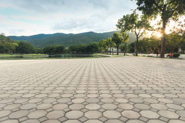 Best Driveway Pavers Near Me  in Wharton, TX